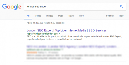seo expert