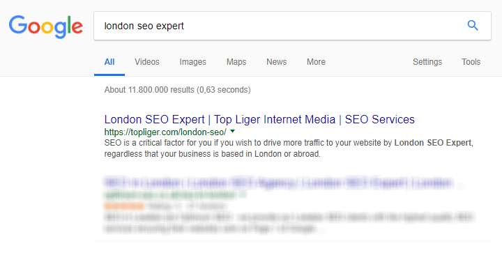 seo expert